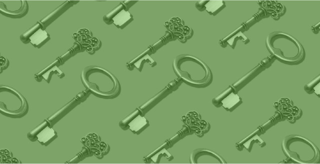 Keys laid out on a flat surface, overlaid with a color filter of Duo green
